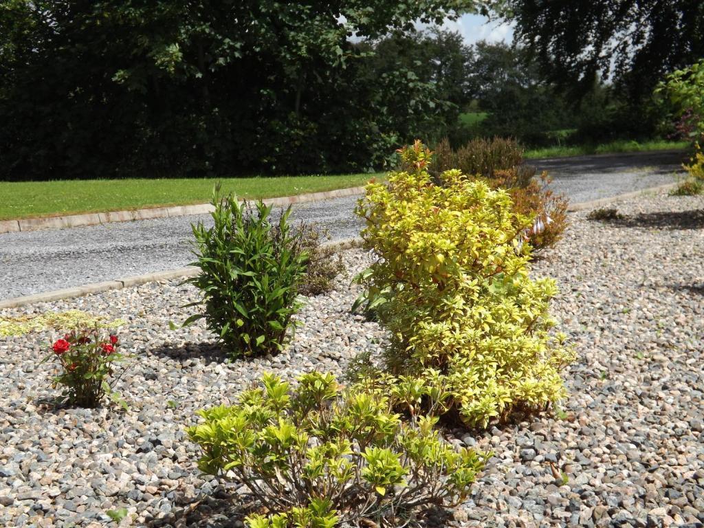 The Laurels Bed & Breakfast Lodge Omagh Eksteriør bilde